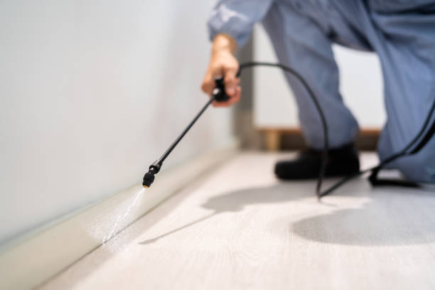 Licensed Termite Control service in Berkley, MI - Nex Pest Control