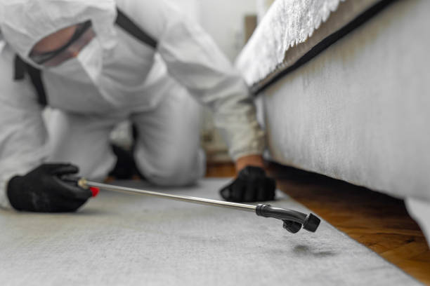 Professional Termite Control technician working in Berkley, MI