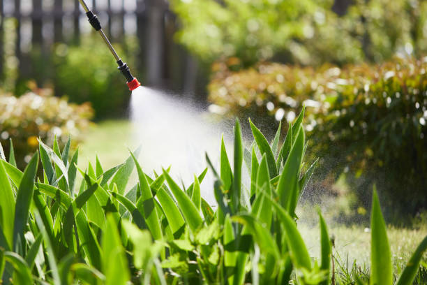 24/7 Emergency Termite Control experts in Berkley, MI