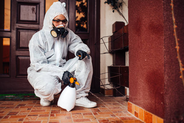 Reliable Termite Control contractor in Berkley, MI by Nex Pest Control