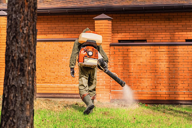 Top rated local Termite Control specialists in Berkley, MI